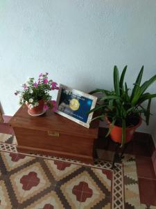 Die Bibliothek in der Ferienwohnung