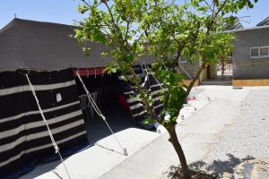ein kleiner Baum vor einem Gebäude in der Unterkunft Khan Alsira - חאן אלסרה in Alsira