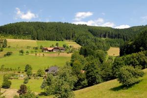 Gallery image of Riehle Hof in Zell am Harmersbach