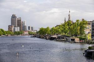 Un río con aves en el agua en una ciudad en Houseboat Amsterdam - Room with a view en Ámsterdam