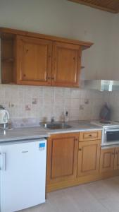 Kuchyň nebo kuchyňský kout v ubytování Theo Apartments