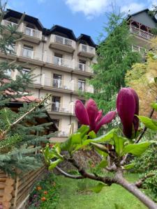 Zahrada ubytování Romantik Spa Hotel