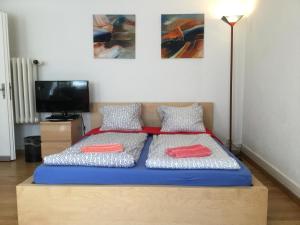 een slaapkamer met een bed met 2 kussens en een televisie bij Garden Studio Apartment Zürichberg in Zürich