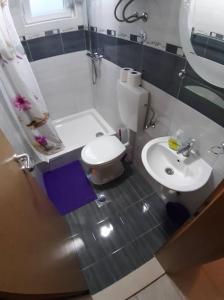 La salle de bains est pourvue de toilettes blanches et d'un lavabo. dans l'établissement Apartments Leža, à Neum