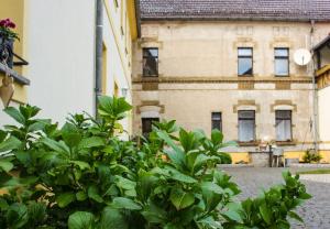 a green bush in front of a building at Bauernhof Gerth in Göllnitz
