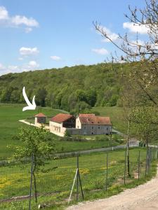 un oiseau blanc survolant une maison dans un champ dans l'établissement Gîte 6 pers de la Vallée de l'Aujon, à Arc-en-Barrois