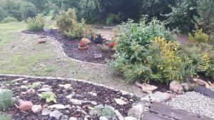 einen Garten mit vielen Pflanzen und Blumen darin in der Unterkunft Miodowy Kociołek in Mrągowo