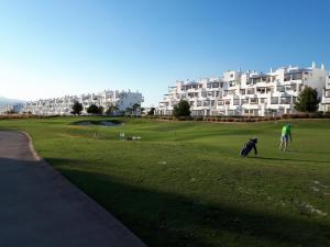 Zaplecze golfowe tego apartamentu lub w pobliżu