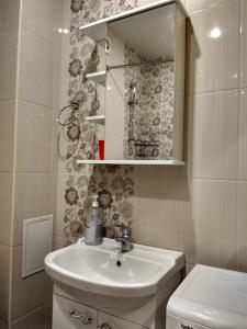 ジヴノモルスコエにあるApartment on Divnaia 1のバスルーム(洗面台、トイレ付)