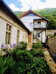 Cảnh núi rừng hoặc tầm nhìn ra núi từ nhà trọ +43 ảnh