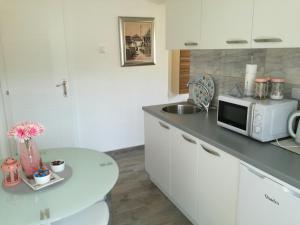 a kitchen with a counter with a microwave and a table at Naid Apartmani in Kulen Vakuf