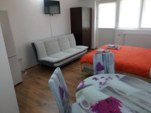 - un salon avec un canapé et un lit dans l'établissement Casa Aurora, à Turda