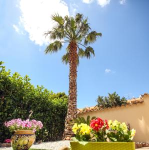 eine Palme in einem Garten mit Blumen in der Unterkunft Ciuri ri zagara in Cinisi