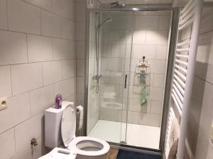 W łazience znajduje się prysznic, toaleta i szklane drzwi do prysznica. w obiekcie Le charme de l’Estroit w mieście Mettet