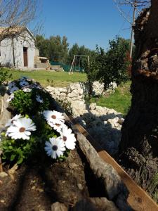 A garden outside Borgo Santa Lucia
