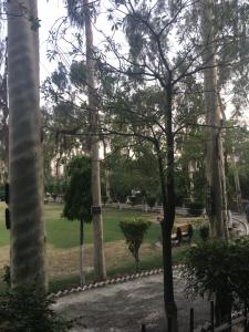 a park with trees and a person sitting on a bench at Spacious Apartment in Johar Town in Lahore