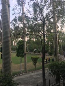 a park with trees and a person sitting on a bench at Apartment near Shaukat Khanum in Lahore