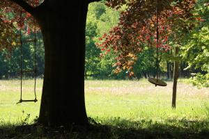 Zahrada ubytování Vakantiewoning Heidebos in het Nationaal Park Hoge Kempen