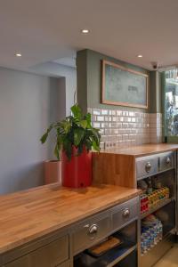 a potted plant sitting on top of a kitchen counter at Nika otel & cafe in Istanbul