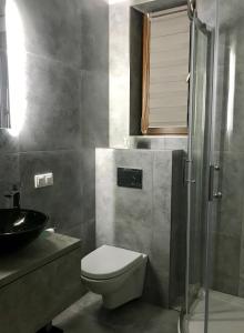 y baño con aseo, lavabo y ducha. en Leśny zakatek, en Lubiatowo