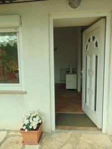 una puerta abierta de una casa con una maceta de flores en COSTABELLA VISTA, en Rijeka