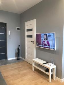 Televízia a/alebo spoločenská miestnosť v ubytovaní Apartament SZTOKHOLM