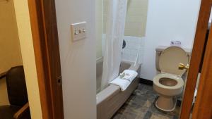 Koupelna v ubytování Royal Motor Inn