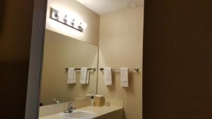 Koupelna v ubytování Royal Motor Inn
