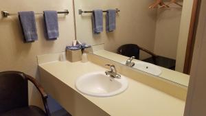 Koupelna v ubytování Royal Motor Inn