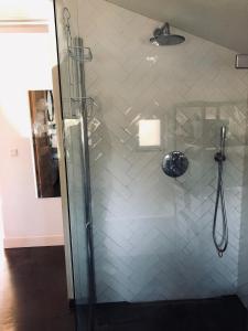 a shower with a glass door in a bathroom at Guesthouse Boom in Watergang
