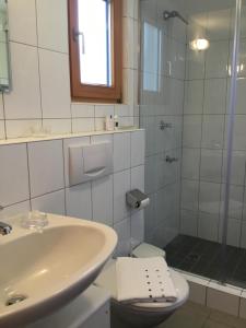 a bathroom with a sink and a toilet and a shower at "Natur pur" Ferienwohnung mit eigener Sauna in Röns