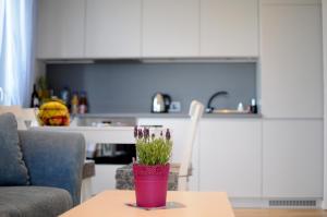 Eldhús eða eldhúskrókur á APARTAMENT LIPSKA 4