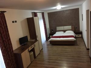une chambre d'hôtel avec un lit et une télévision dans l'établissement Pensiunea Rustic, à Borşa
