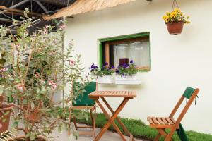 Vonkajšia záhrada v ubytovaní Rastlinky.sk Greenhouse Guestrooms