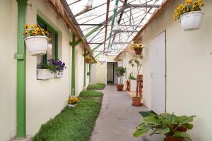 Vonkajšia záhrada v ubytovaní Rastlinky.sk Greenhouse Guestrooms