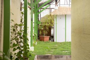 Vonkajšia záhrada v ubytovaní Rastlinky.sk Greenhouse Guestrooms