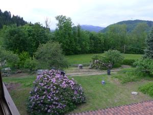 l'Oca Mannara في أمينو: حديقة بها زهور أرجوانية على العشب