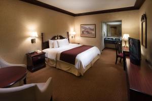 a hotel room with a large bed and a desk at Safi Royal Luxury Centro in Monterrey