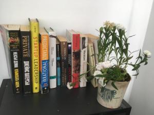 The library in Az apartmant