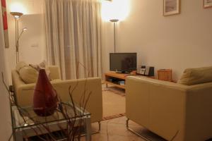 TV a/nebo společenská místnost v ubytování (PAR001) Modern Garden Apartment