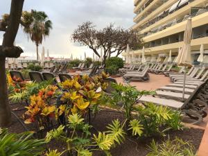 Gallery image of Sunny Studio In Santa Maria Aparthotel in Adeje