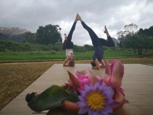 a group of people doing a yoga pose next to a flower at Sigiriya King's Resort in Sigiriya