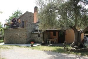 a person on a balcony of a house with a tree at Al Casolare in Tuoro sul Trasimeno