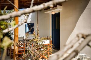 a house with a blue door and a plant at Elena's Guest House in Egina