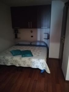 1 dormitorio con 1 cama con 2 almohadas verdes en Casa Doina, en Băile Felix