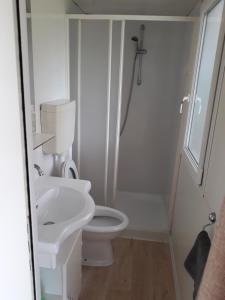 ein Badezimmer mit einem weißen WC und einem Waschbecken in der Unterkunft Grand Veles camp in Pula