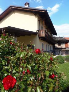 A garden outside AGRITURISMO Cré Seren
