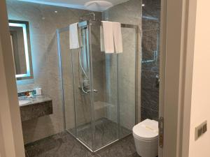 イスタンブールにあるRegency World Hotelのバスルーム(ガラス張りのシャワー、トイレ付)