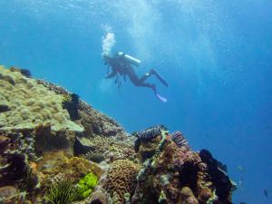 a person is swimming over a coral reef at Ceningan Resort in Nusa Lembongan