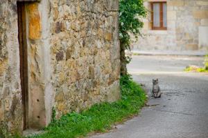 Zdjęcie z galerii obiektu Las Anjanas de Lloreda w mieście Lloreda